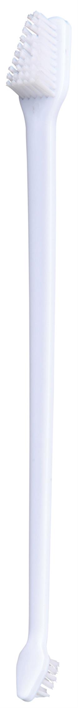 Tandvårdsset katt m tandkräm, 2 tandborstar