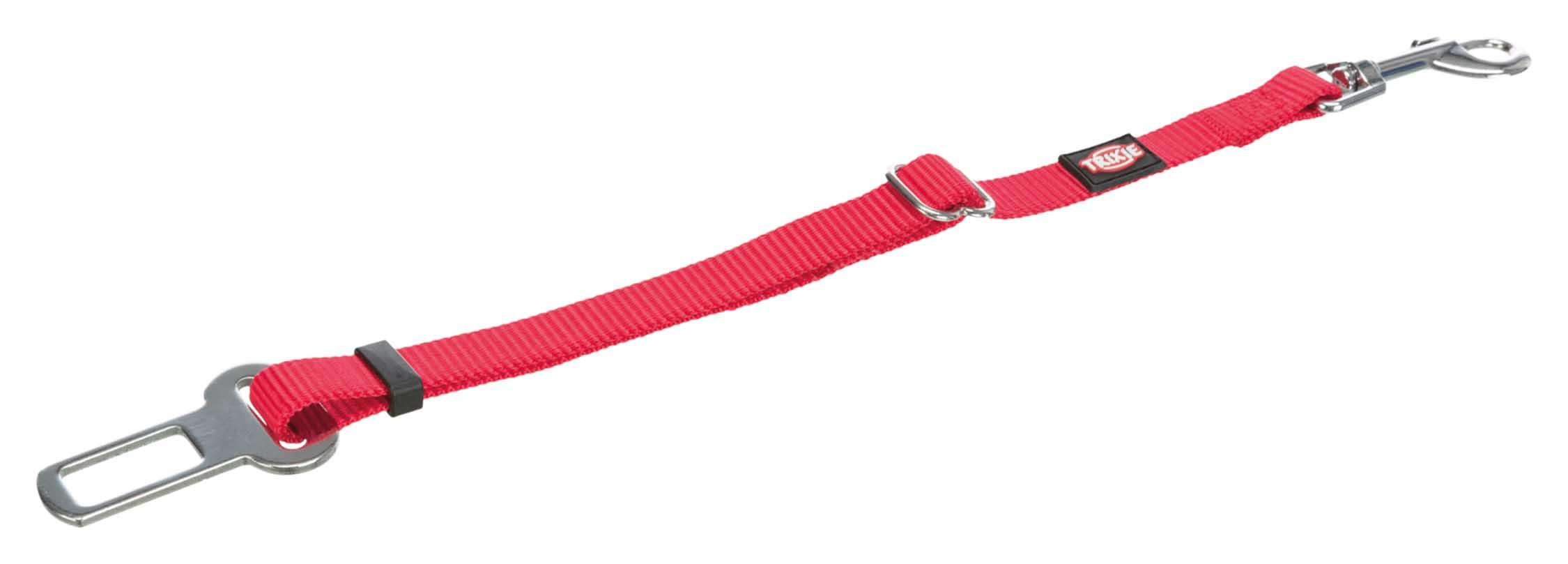 Bilsele Katt Röd 20-50 cm