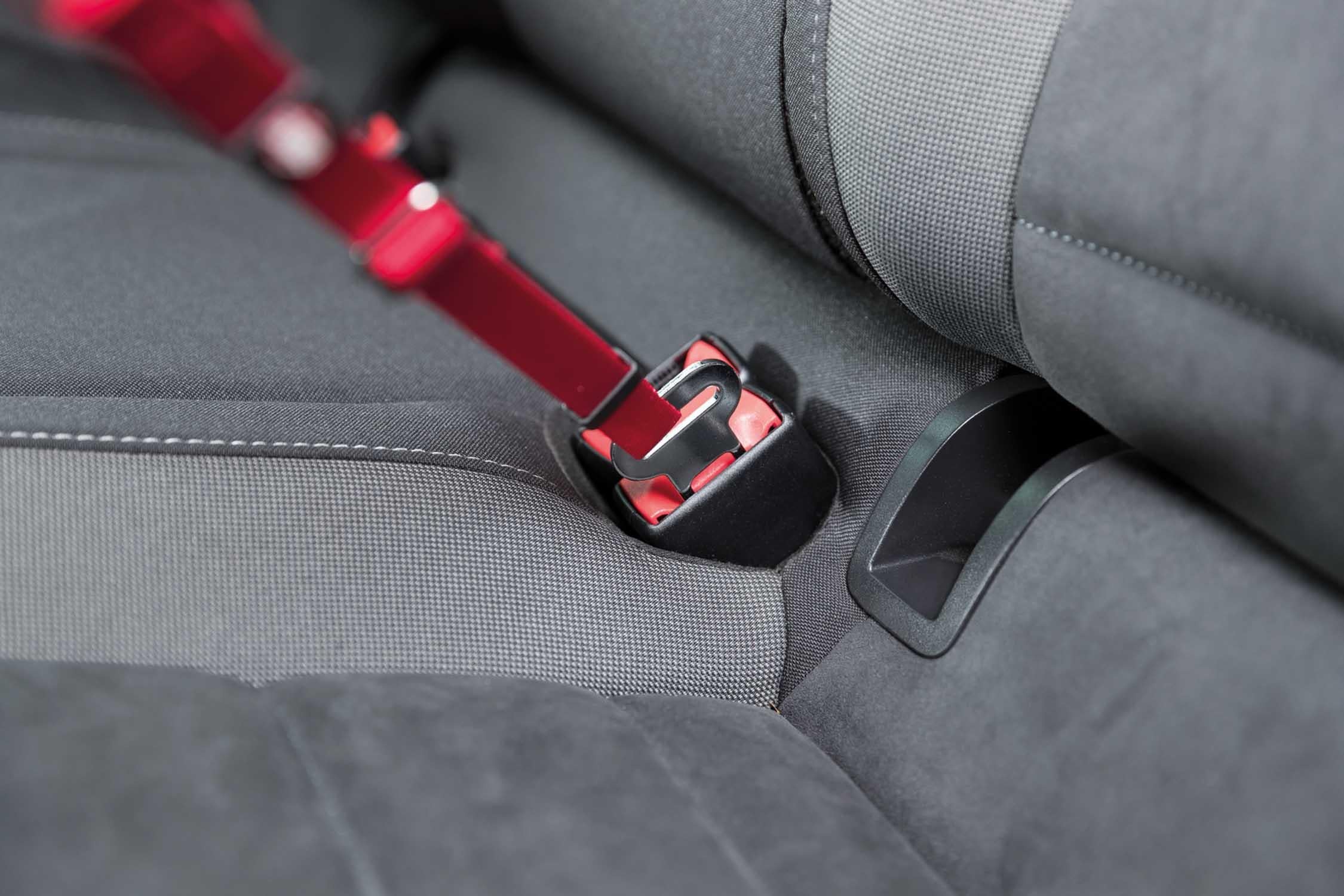 Bilsele Katt Röd 20-50 cm