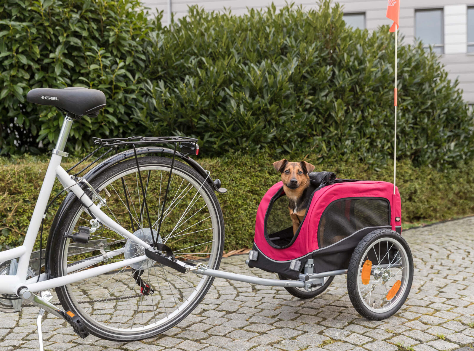 Trixie Cykelvagn För Hund
