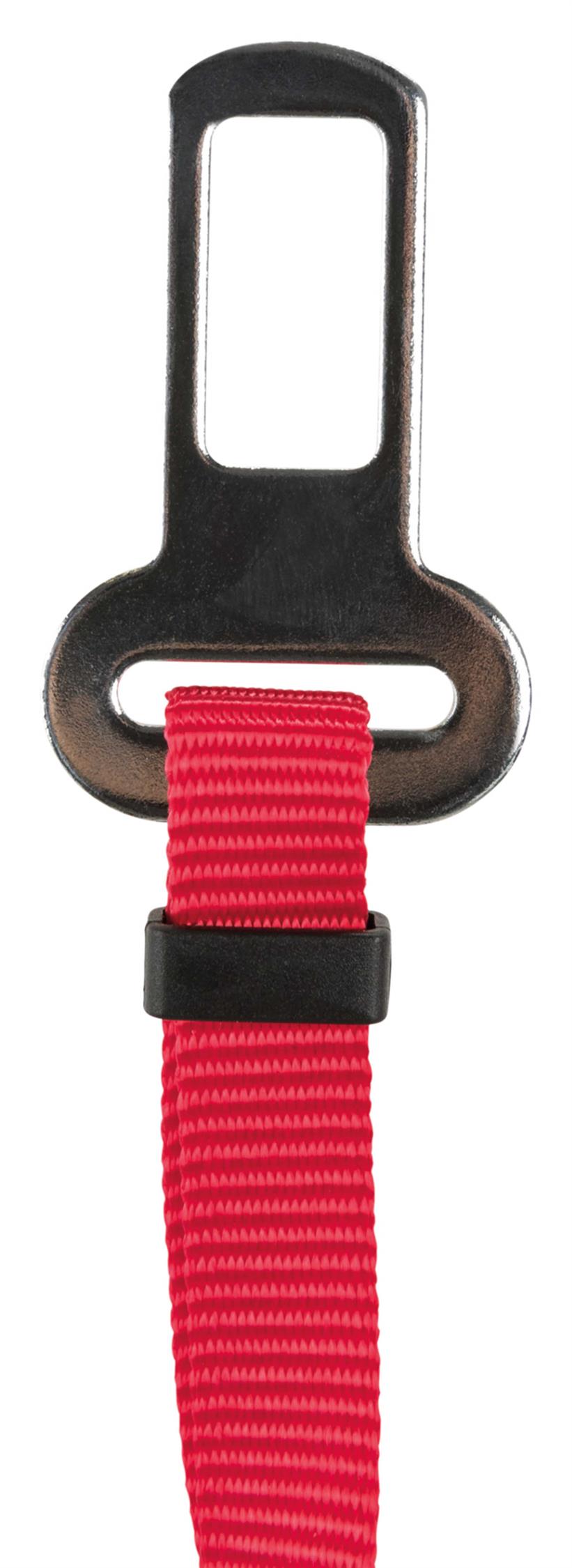 Bilsele Katt Röd 20-50 cm