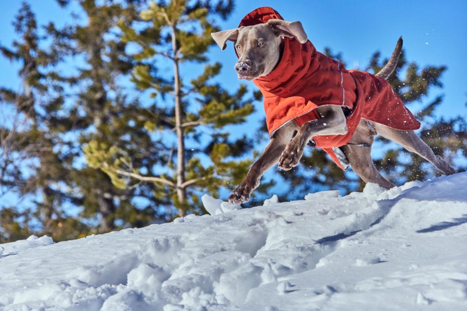 Hurtta Extreme Warmer III ECO Cinnamon