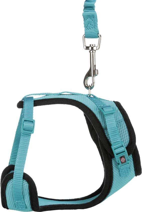 Y-sele, katt, med elastiskt koppel, 39-60 cm/10 mm, 100 cm