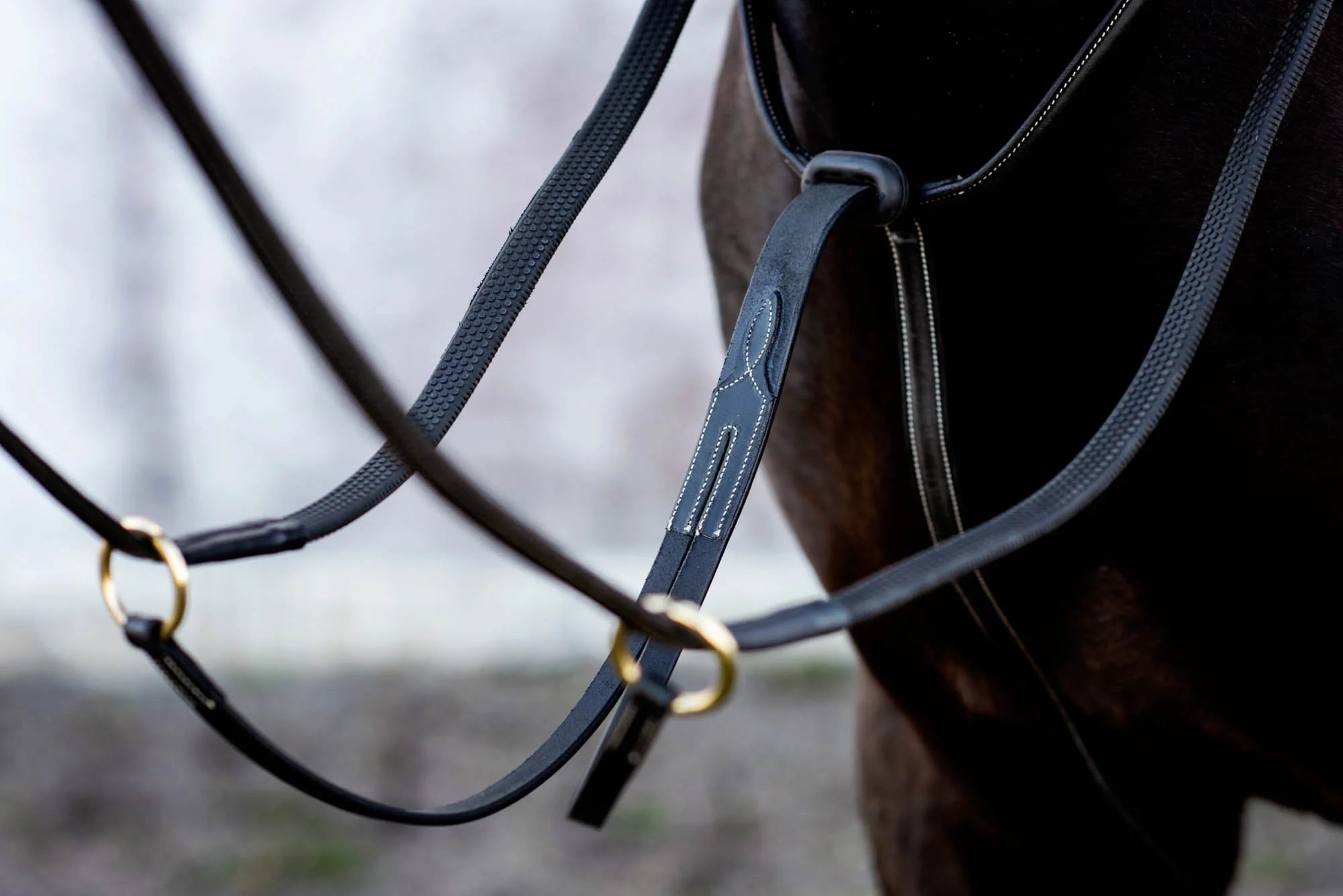 Jacson Cincinatti Martingal Svart