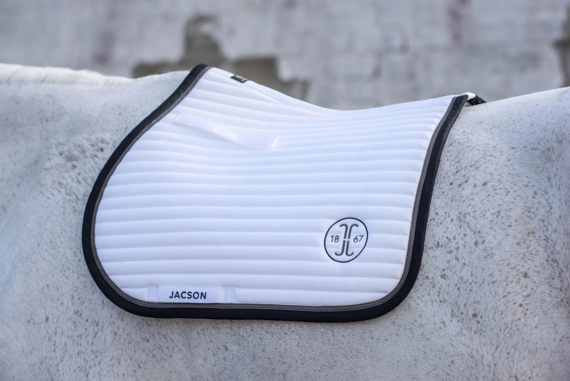 Jacson Karlskrona Schabrak