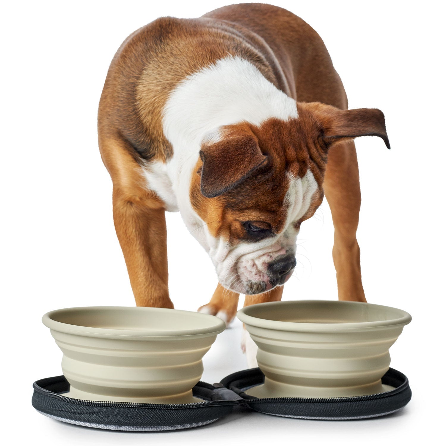 HUNTER List reseskål silikon med fodral Beige