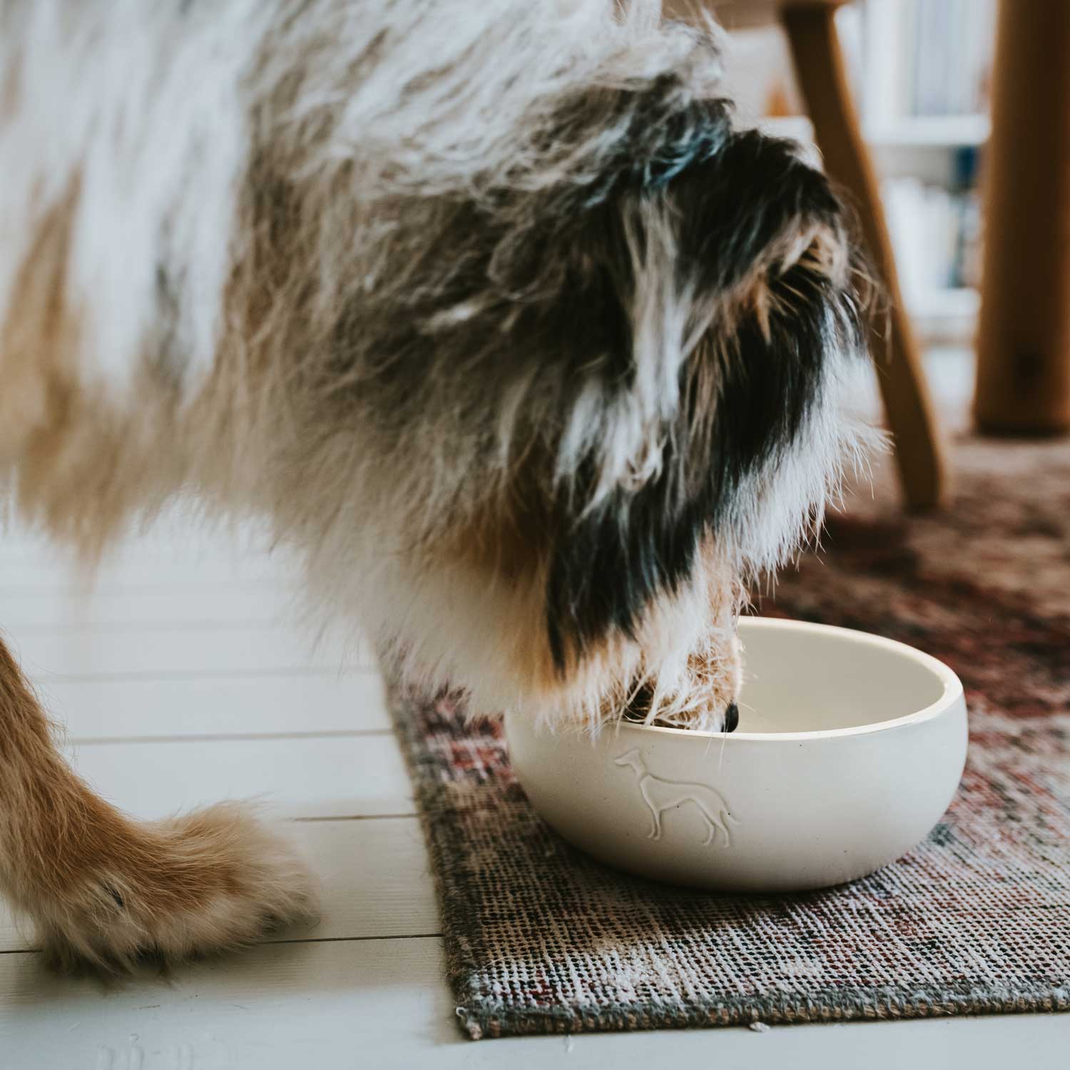 HUNTER Lund matskål keramik Vit