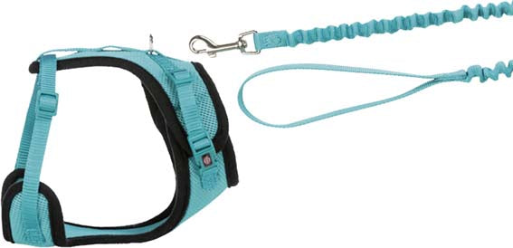 Y-sele, katt, med elastiskt koppel, 39-60 cm/10 mm, 100 cm