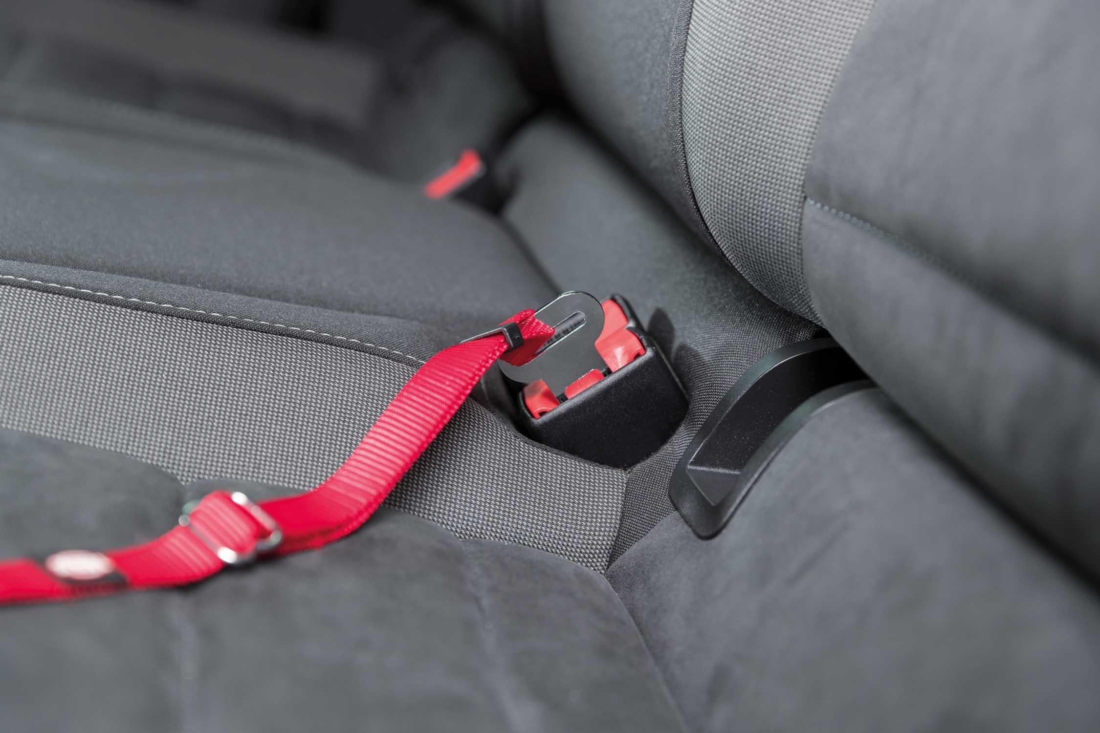 Bilsele Katt Röd 20-50 cm