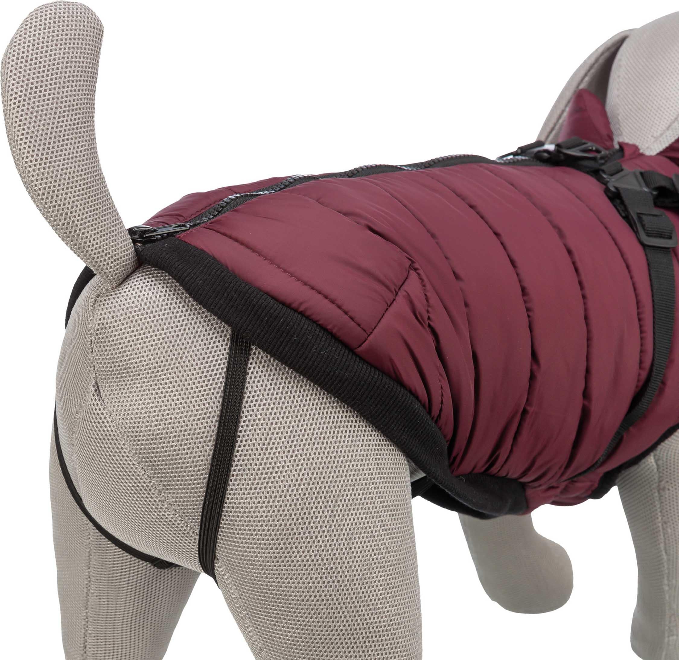 Vintertäcke m. sele Pirou, XS: 30 cm, sangria