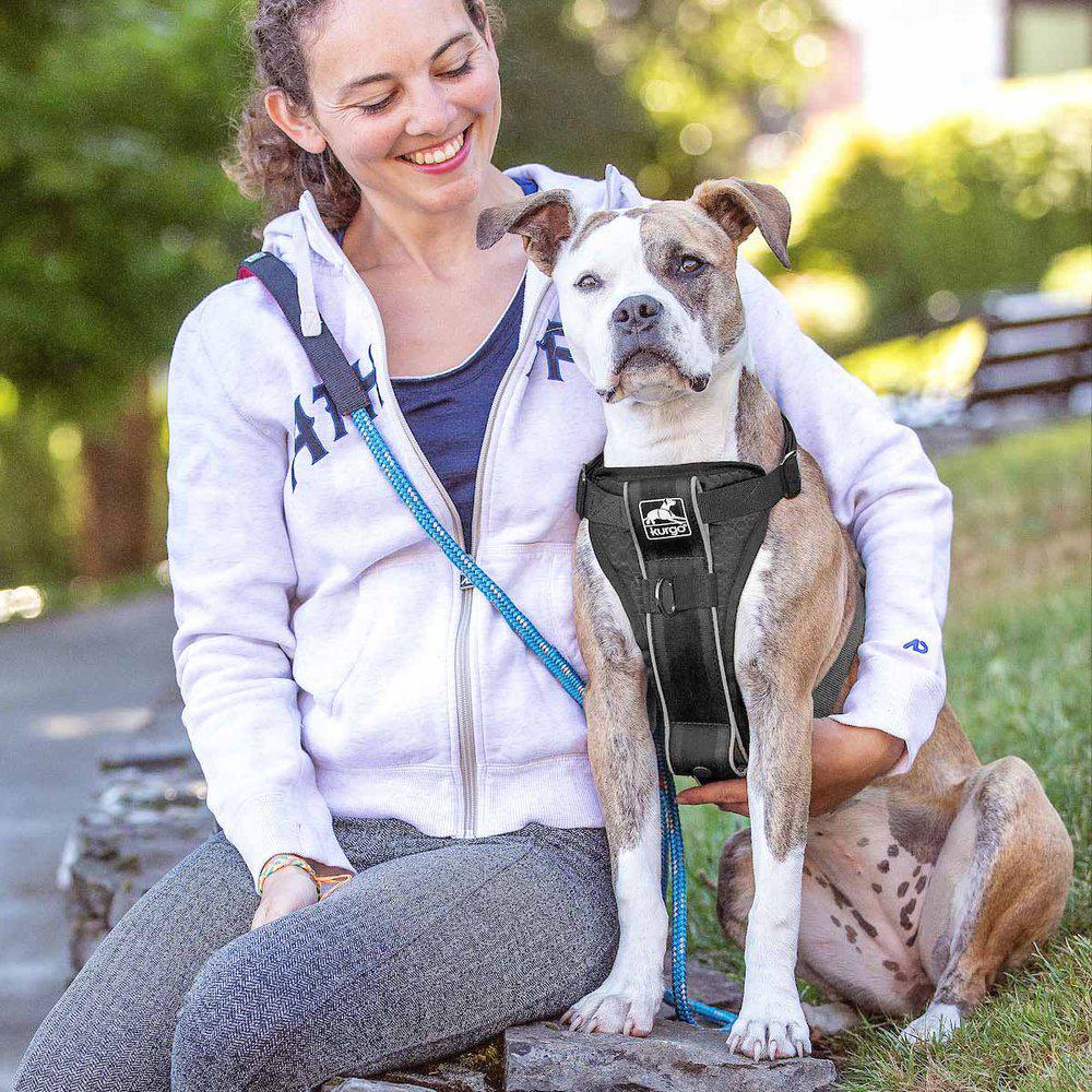Kurgo Tru-Fit Smart Harness W/Seatbelttether Xl Black