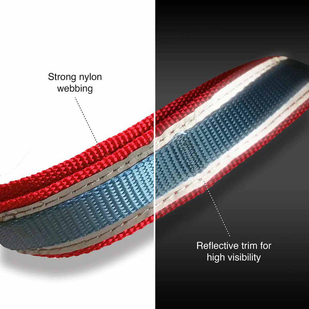 Kurgo Reflect&protect Quantum Leash Barn Coastal Blue