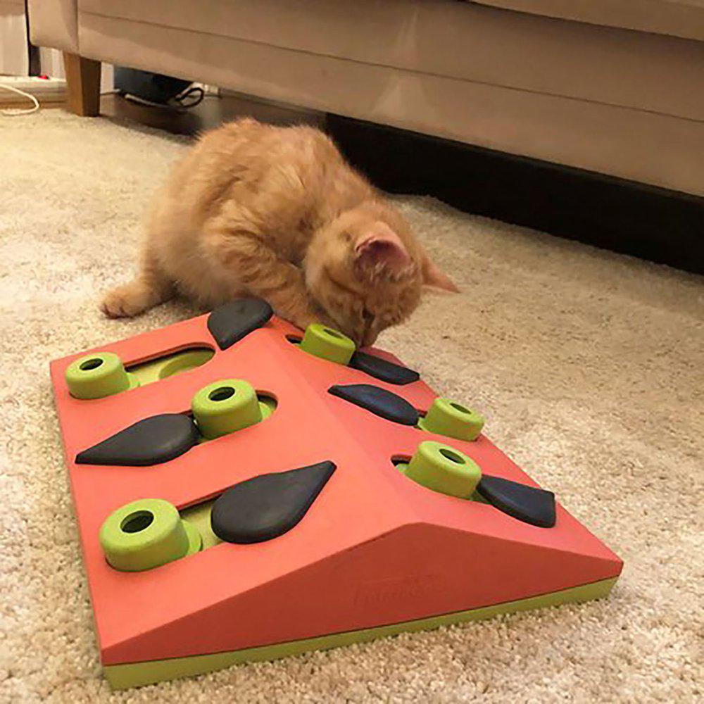 Nina Ottosson Cat Puzzle & Play Melon Madness