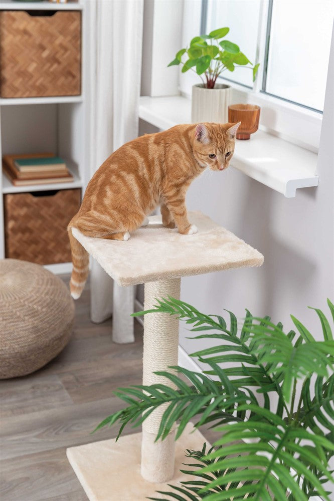 Trixie Baena klöspelare, 69 cm, medium Beige