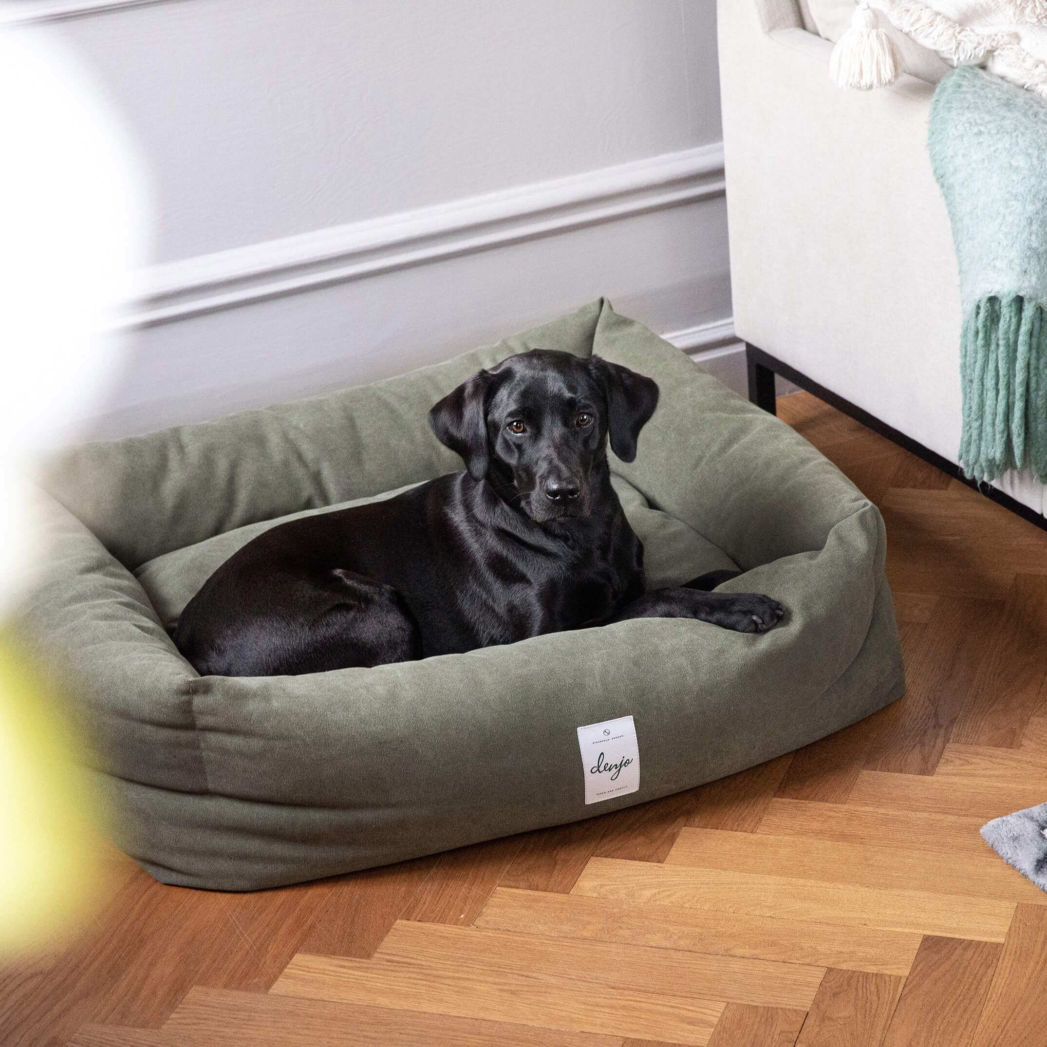 Denjo Dogs Hundbädd Classic Nest Grön