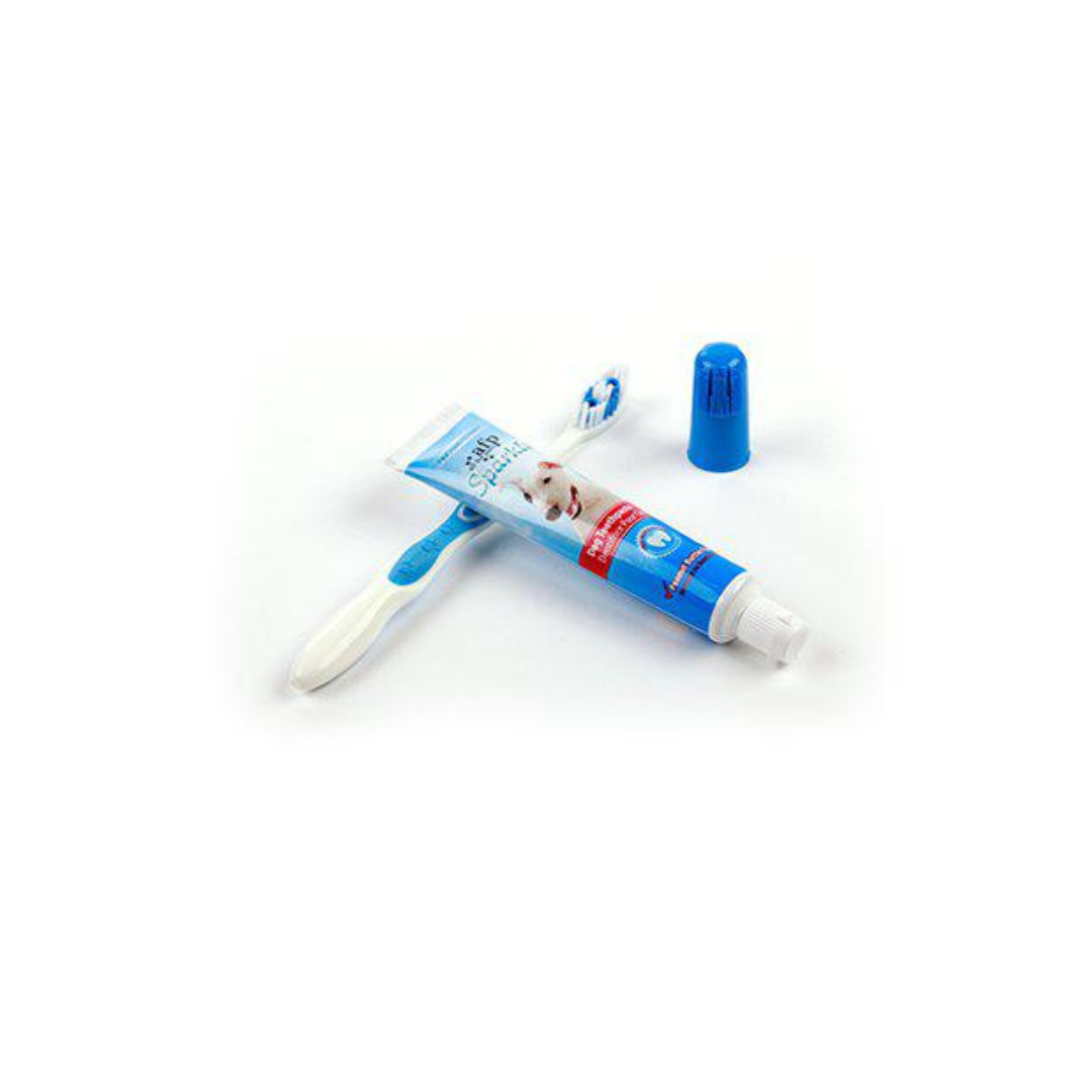 Dental Cleaning Set- Vaniljsmak