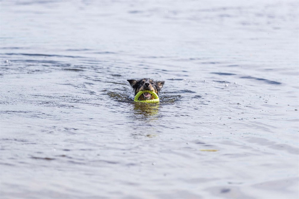 Trixie Aqua Toy tugger, TPR-foam flytande Gul