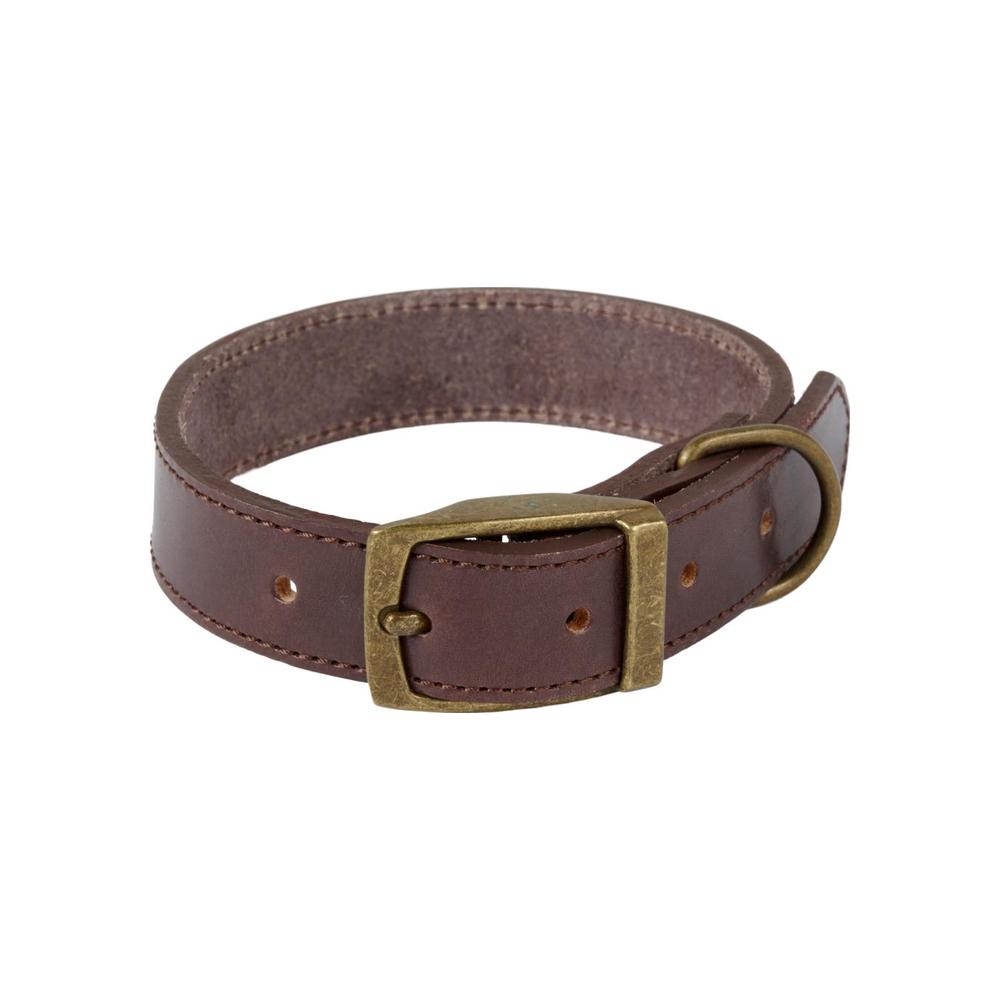 Companion Läderhalsband För Hundar