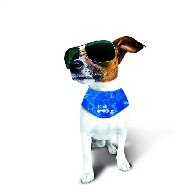 All For Paws Chill Out Ice Bandana