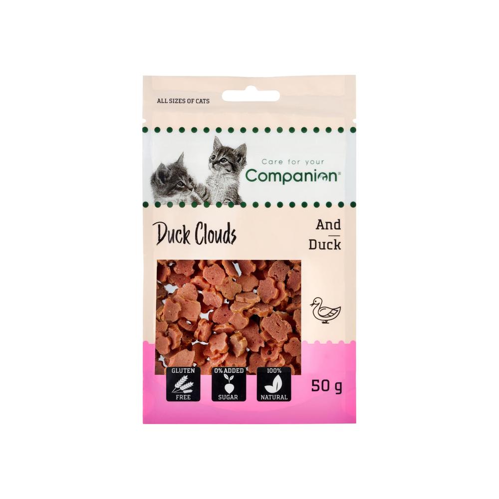 Companion Clouds (And) X 18