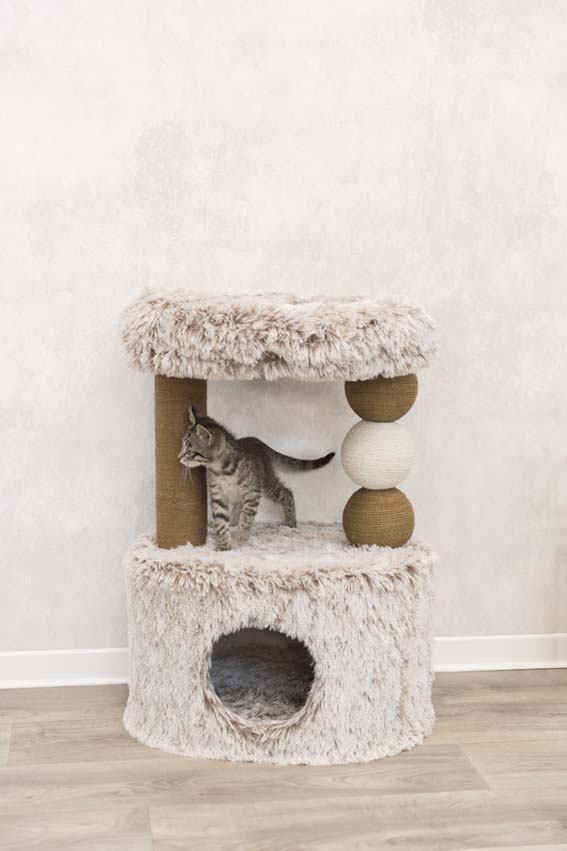 Klöspelare Harvey, 73 cm, brun