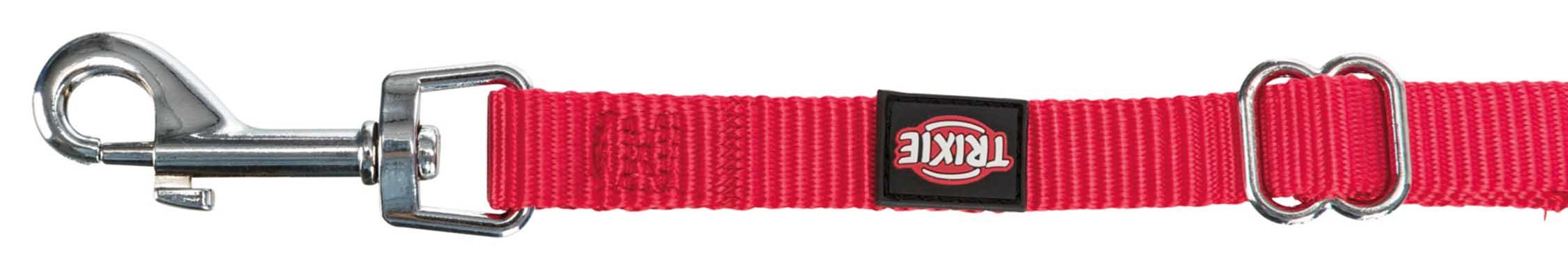 Bilsele Katt Röd 20-50 cm