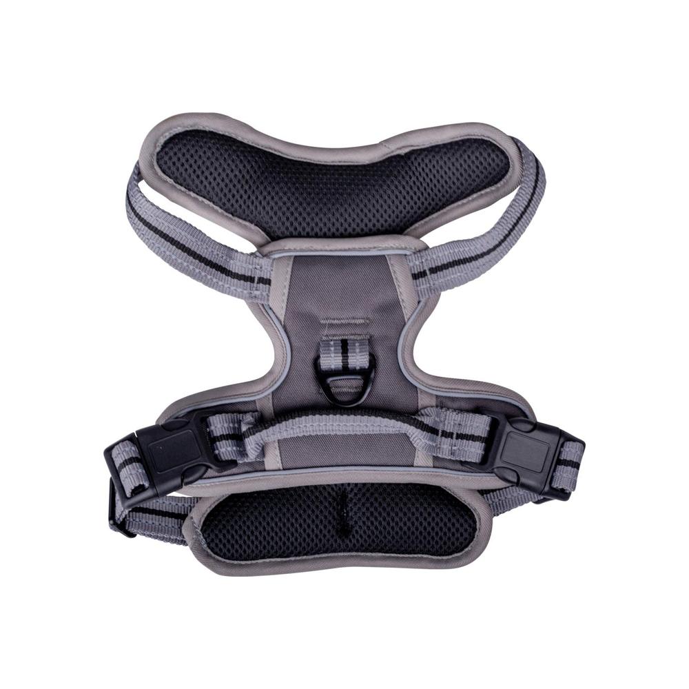 Companion No-Pull Hundsele