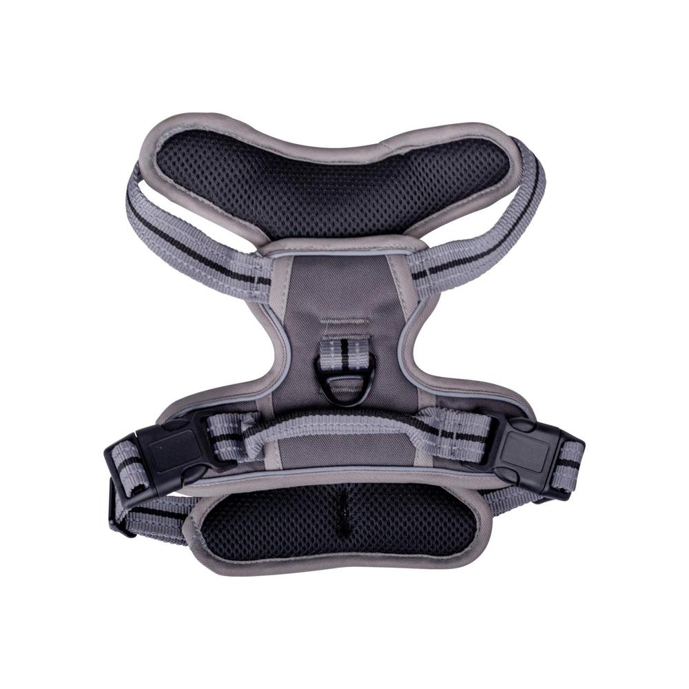 Companion No-Pull Hundsele