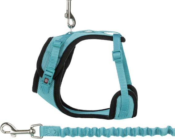 Y-sele, katt, med elastiskt koppel, 39-60 cm/10 mm, 100 cm