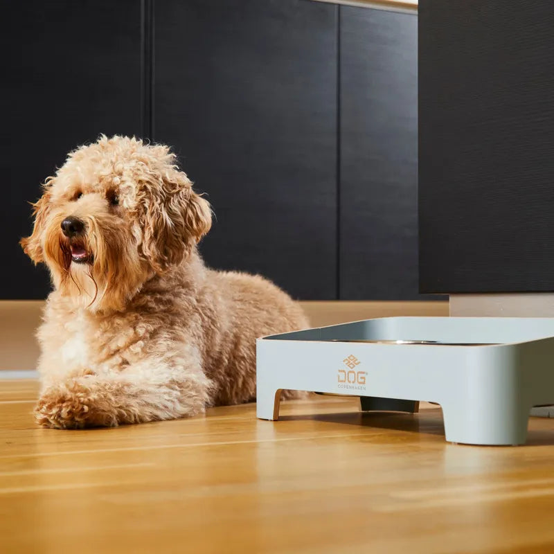 Dog copenhagen Skagen matskål Fjord Green