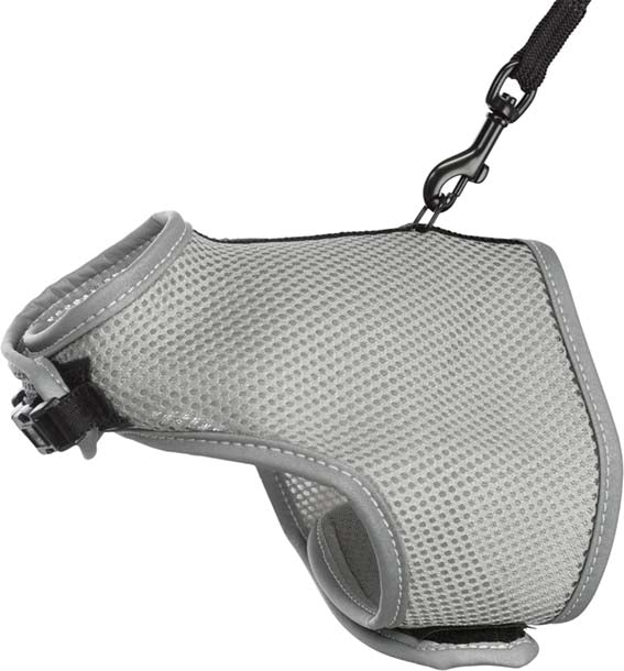 Kattsele mjuk med koppel, 24-42 cm. 120 cm, reflex, bl. färger