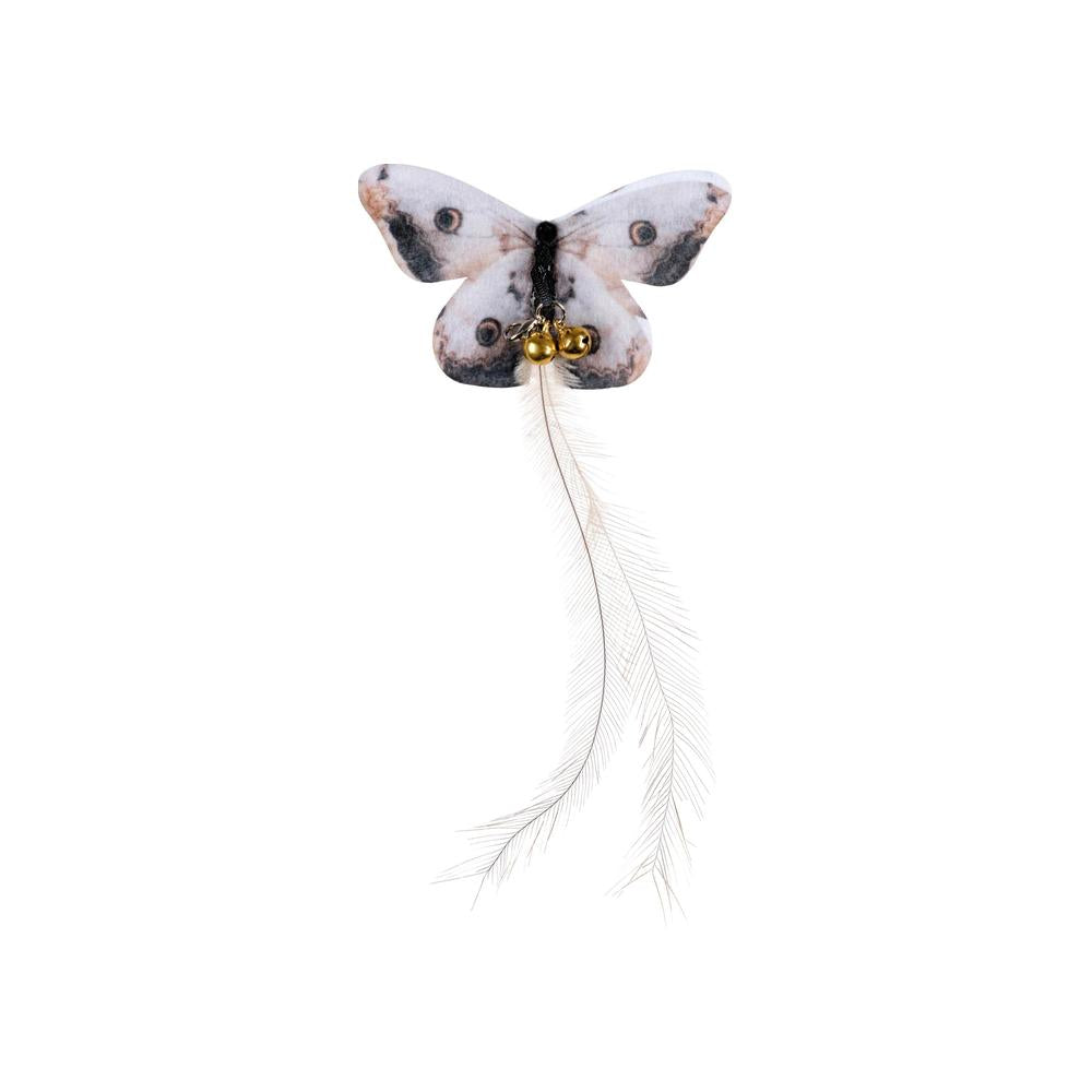 Companion Fjädervippa