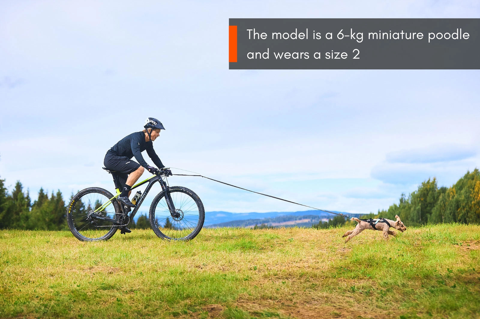 Non-stop Dogwear Freemotion harness - Dragsele Svart