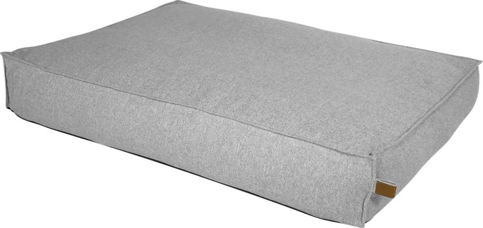 Fantail Stargaze Origin Madrass