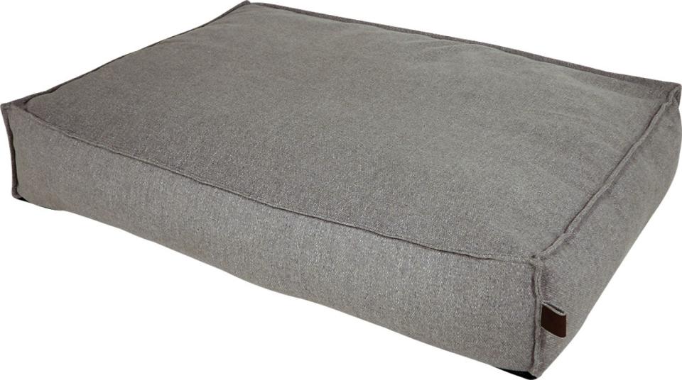 Fantail Stargaze Origin Madrass