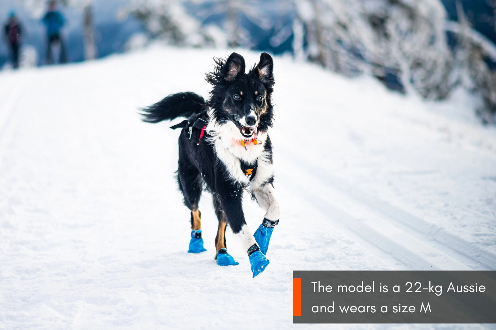 Non-stop Dogwear Long distance bootie 4-pack Blå