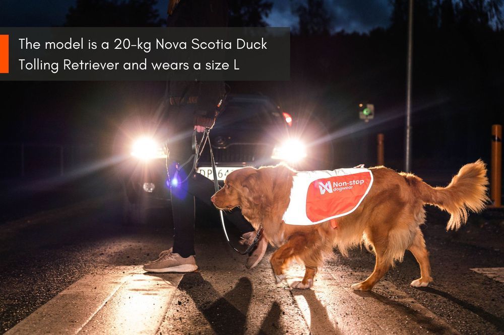 Non-stop dogwear Reflection blanket Orange/Gray