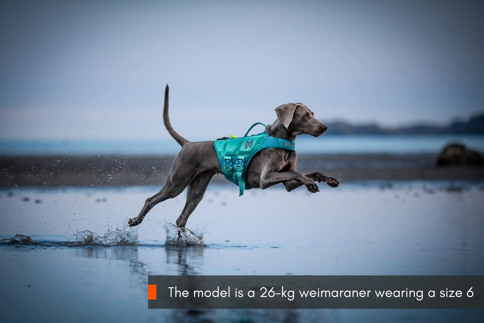 Non-stop Dogwear Flytväst Teal