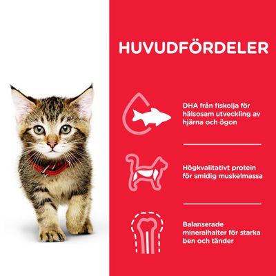 Hills Kitten Chicken