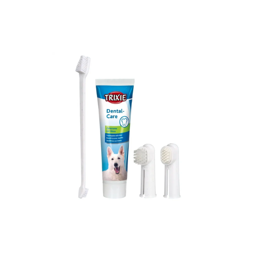 Tandkräm & tandborstar