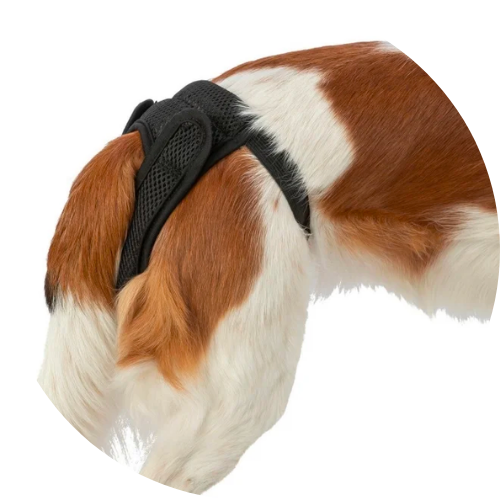 Tikskydd & skvättskydd