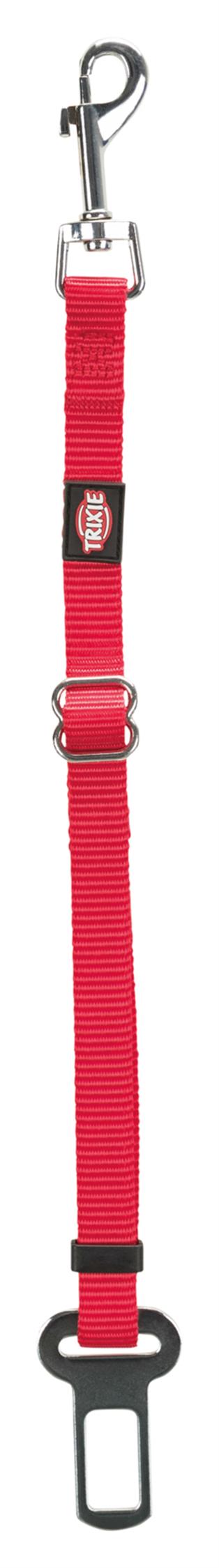 Bilsele Katt Röd 20-50 cm