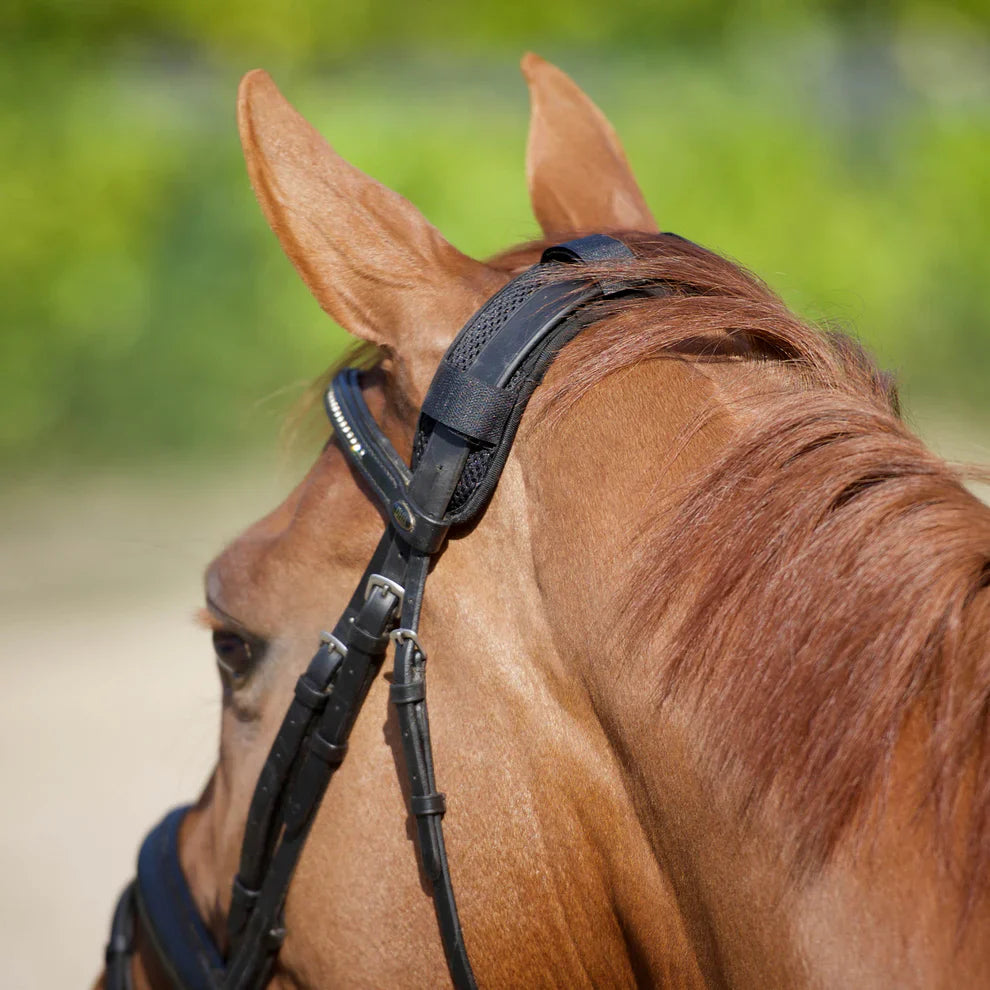 Back On Track Nackskydd Häst
