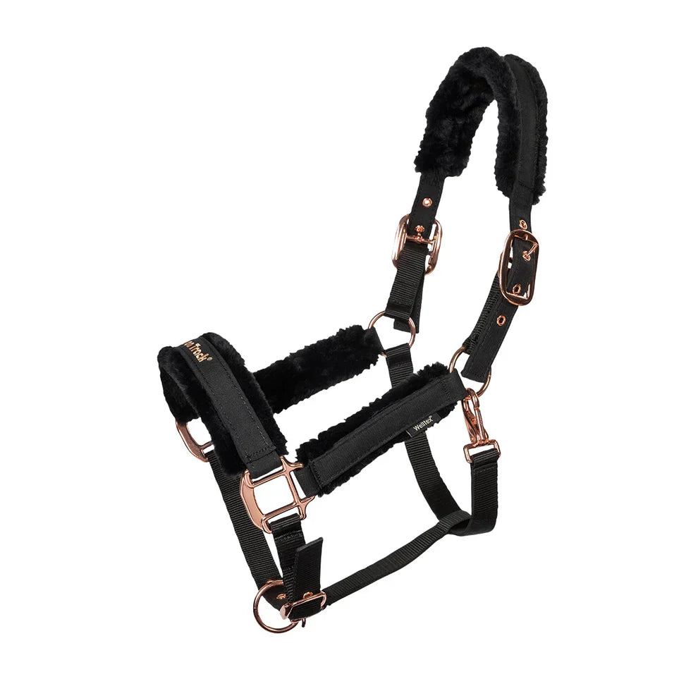 Back On Track Grimma Haze