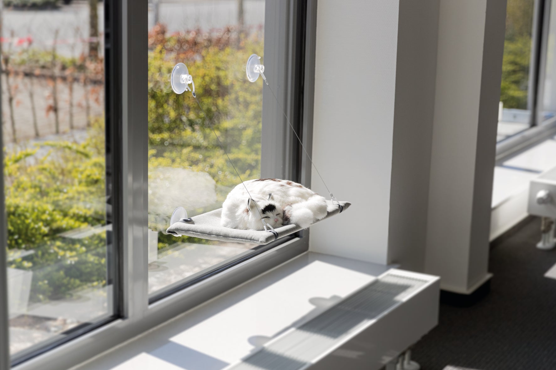 Fönsterdyna katt, med sugkoppar, 50 × 30 cm, grå