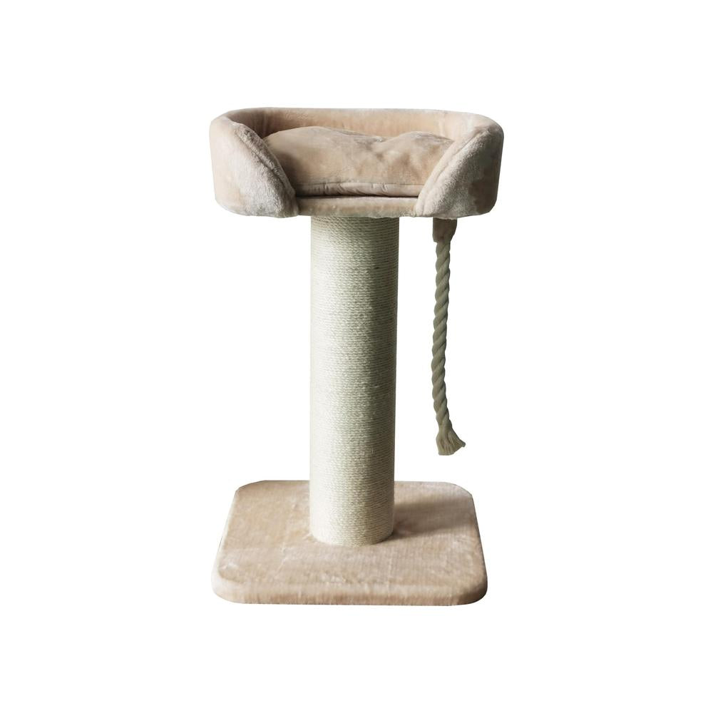 Companion Klösmöbel För Katt, Lion S