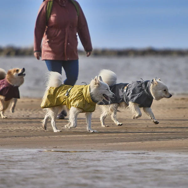 Hurtta Mudventure reflekterande hundjacka 3M Turmeric