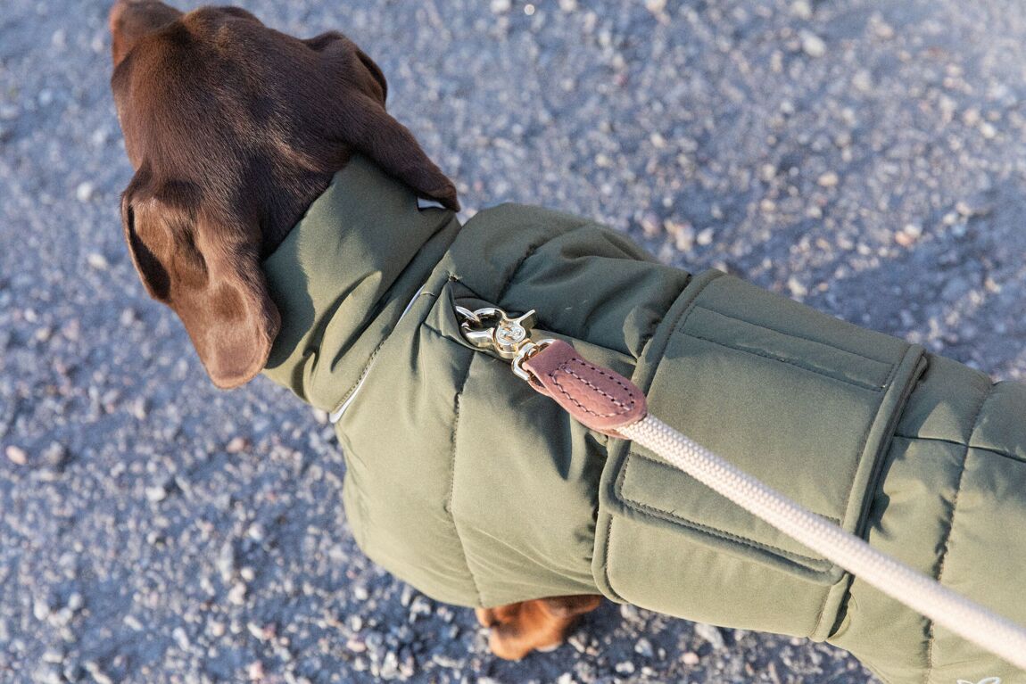 Denjo Dogs Dachshund Coat Wool Puffer Grön