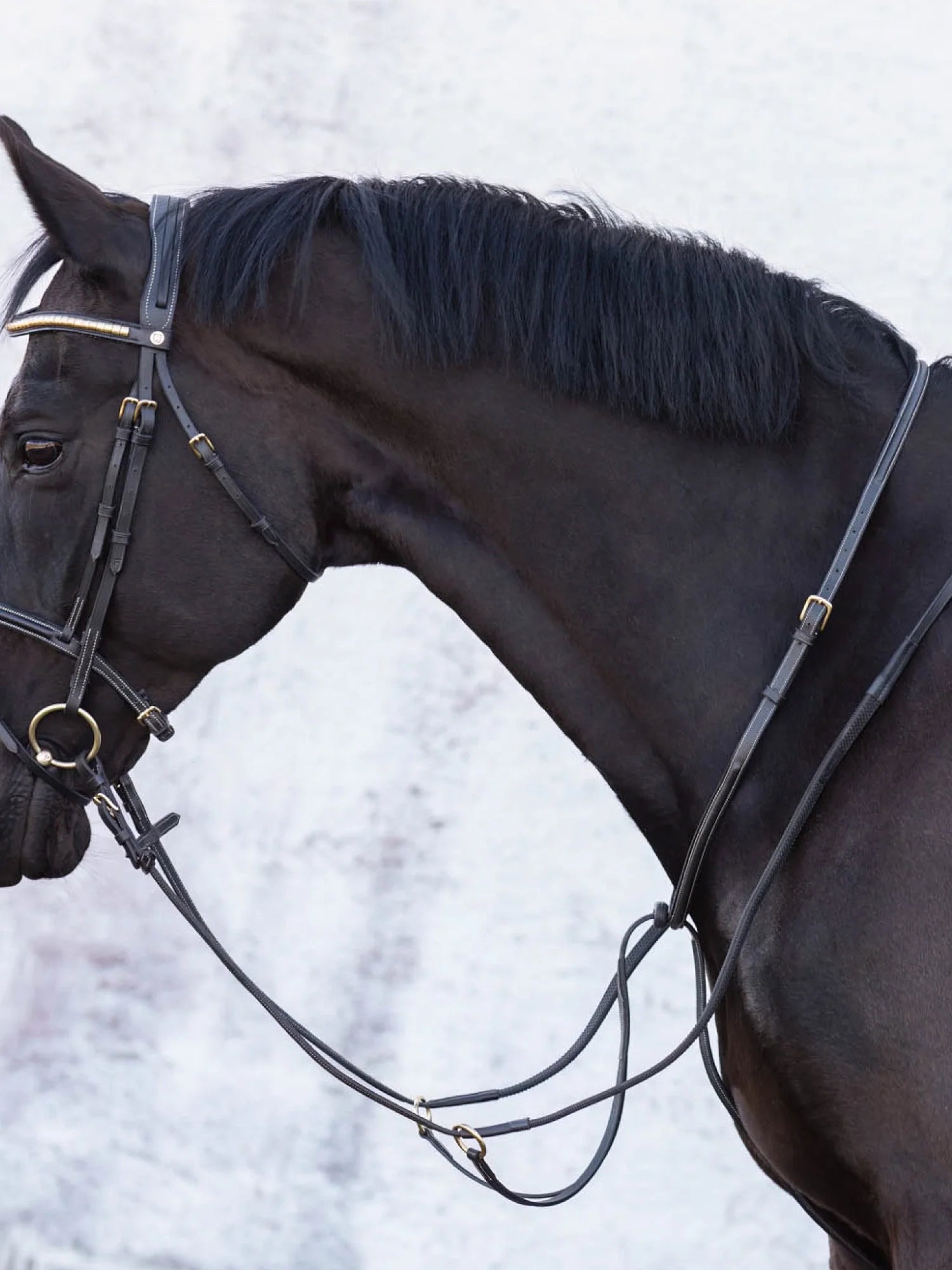 Jacson Cincinatti Martingal Svart