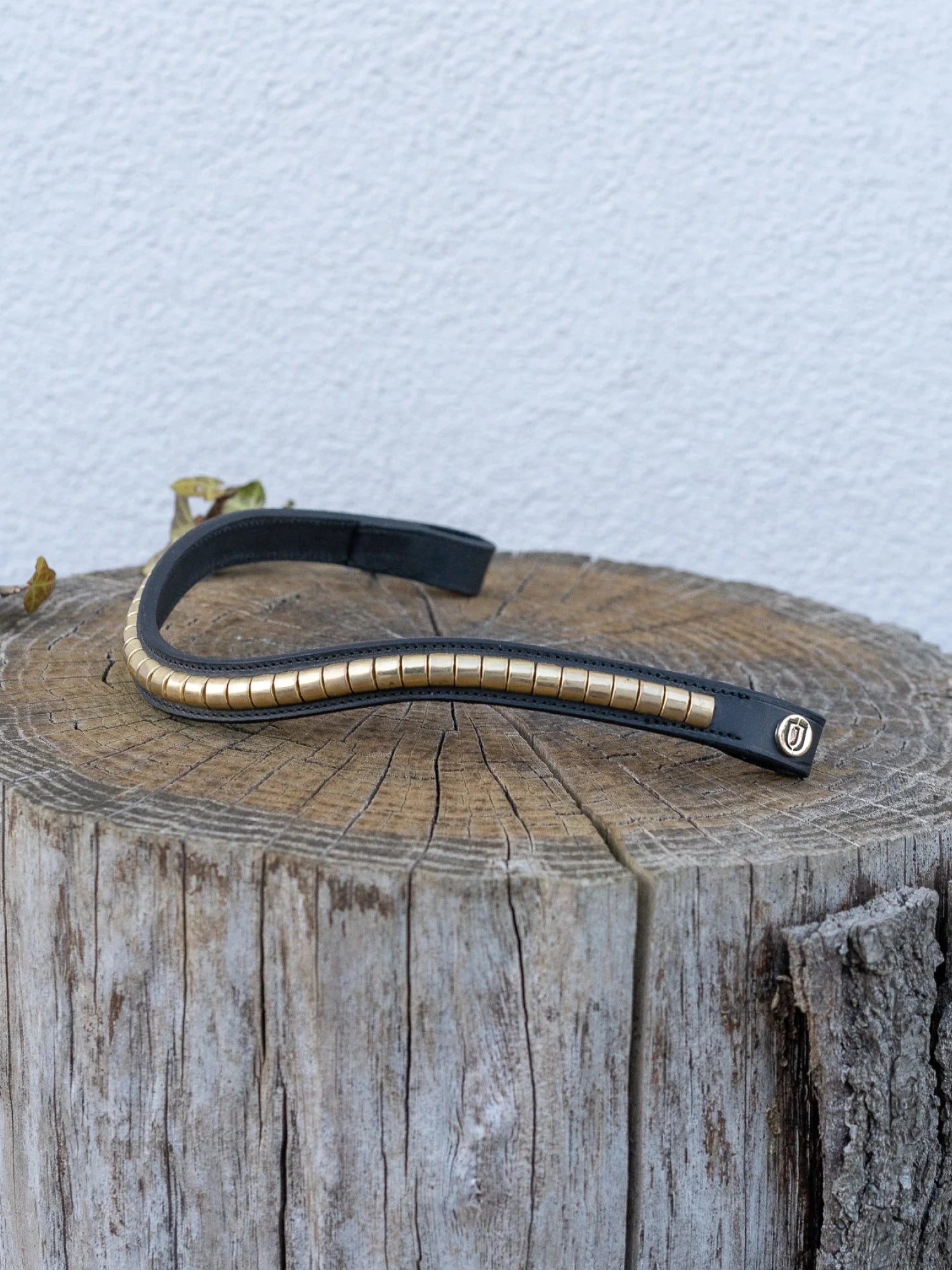 Jacson Cambridge Pannband Svart